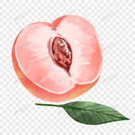 a片APPAPP应用